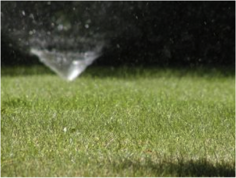 picture of sprinkler